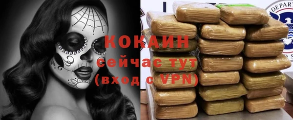 бошки Алзамай