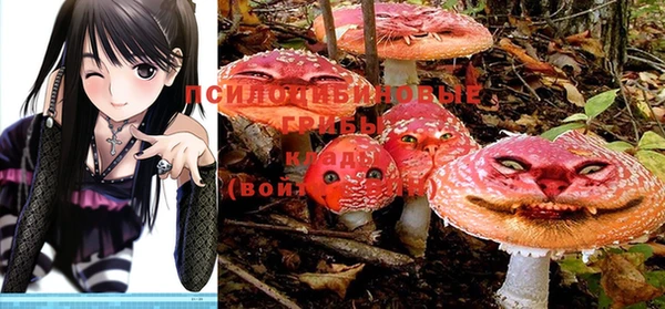 бошки Алзамай